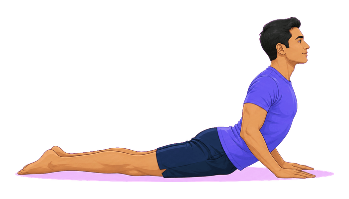 Bhujangasana exercise illustration