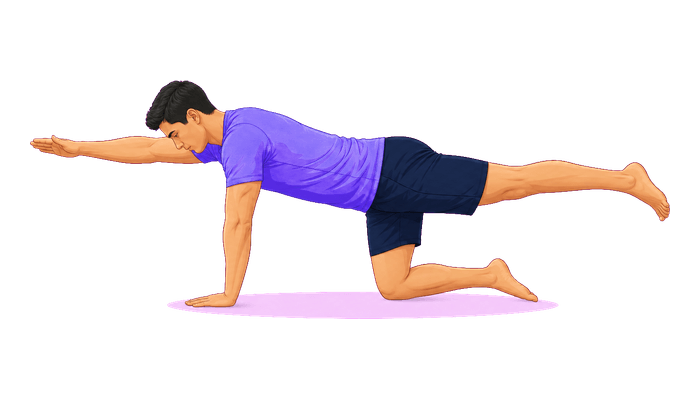 Bird Dog exercise illustration