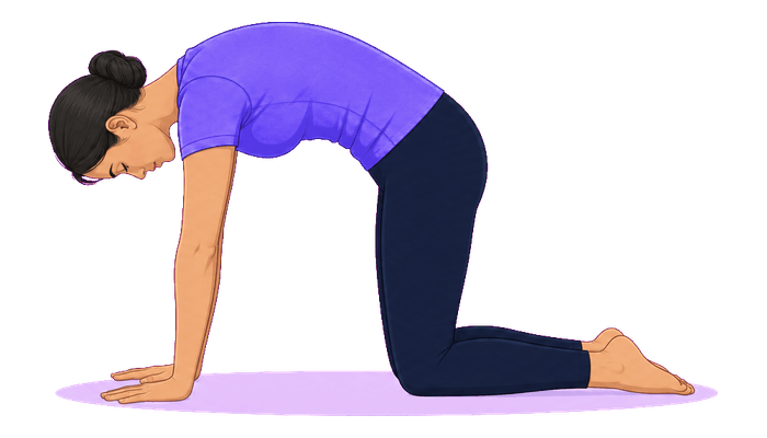 Cat-Cow exercise illustration